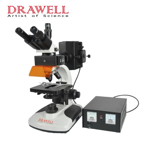 DW-2002H Trinocular fluorescence microscope
