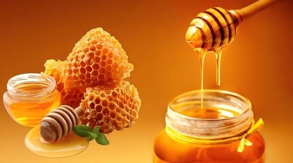 2.Food and pharmaceutical industries-honey