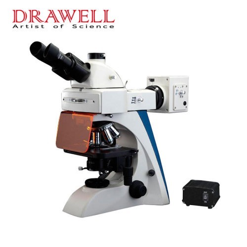 When We Use a Fluorescence Microscope?