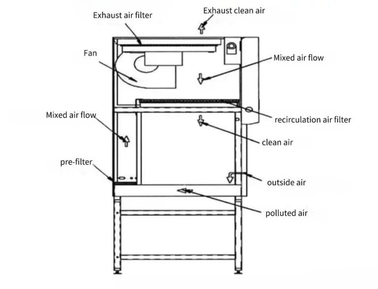 What Is a Biosafety Cabinet? Principle, Application, and Types