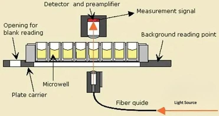 The technical principle of light absorbance microplate readers