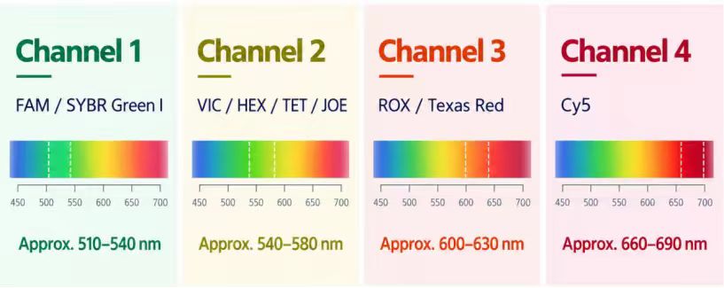 4 Channel Fluorescence Detection