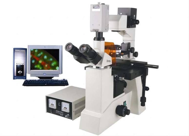 fluorescence microscope