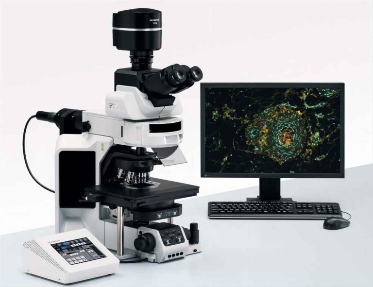 How to Use a Trinocular Fluorescent Microscope: Best Practices and Precautions