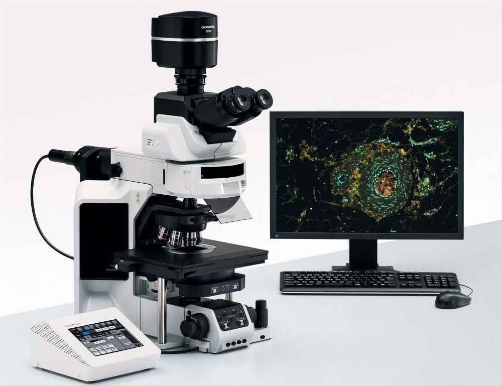 trinocular microscope