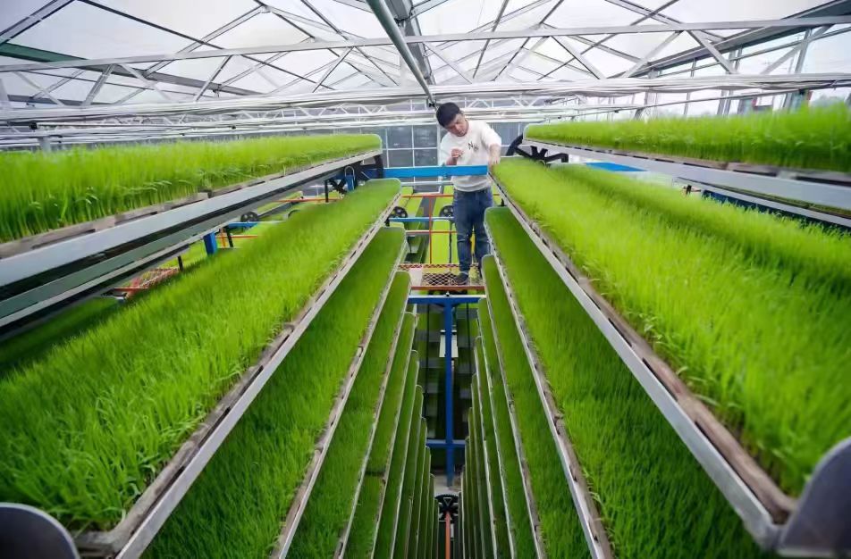 Agricultural Research and Education1 1