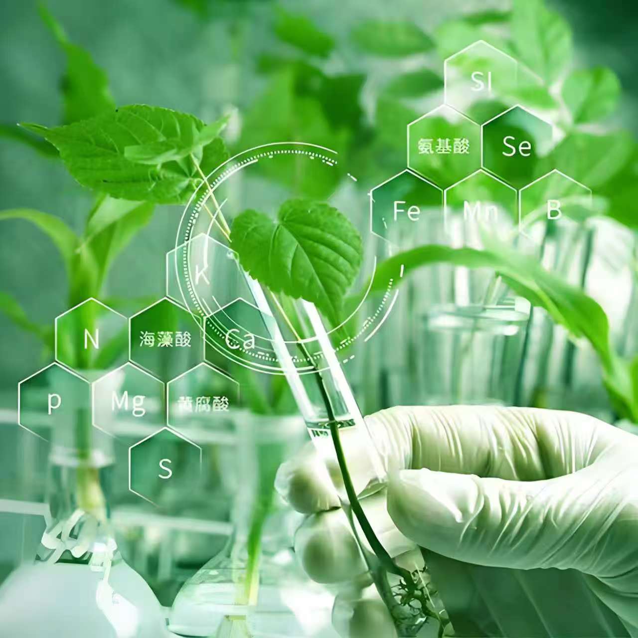 Agricultural Research and Education1