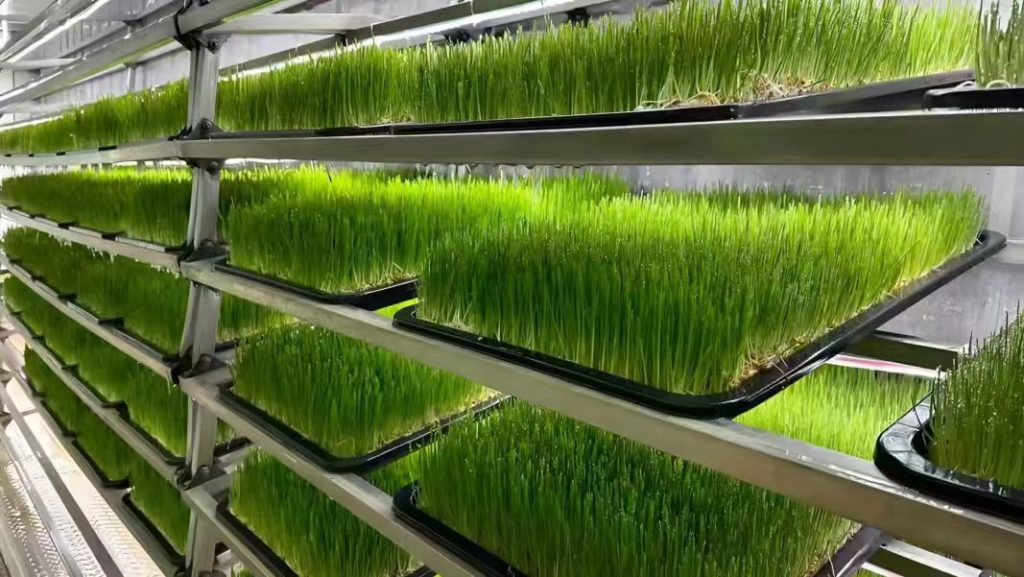 Agriculture and Soil Science 2