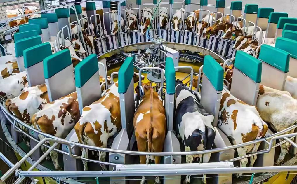 Feed and Livestock Industry 1