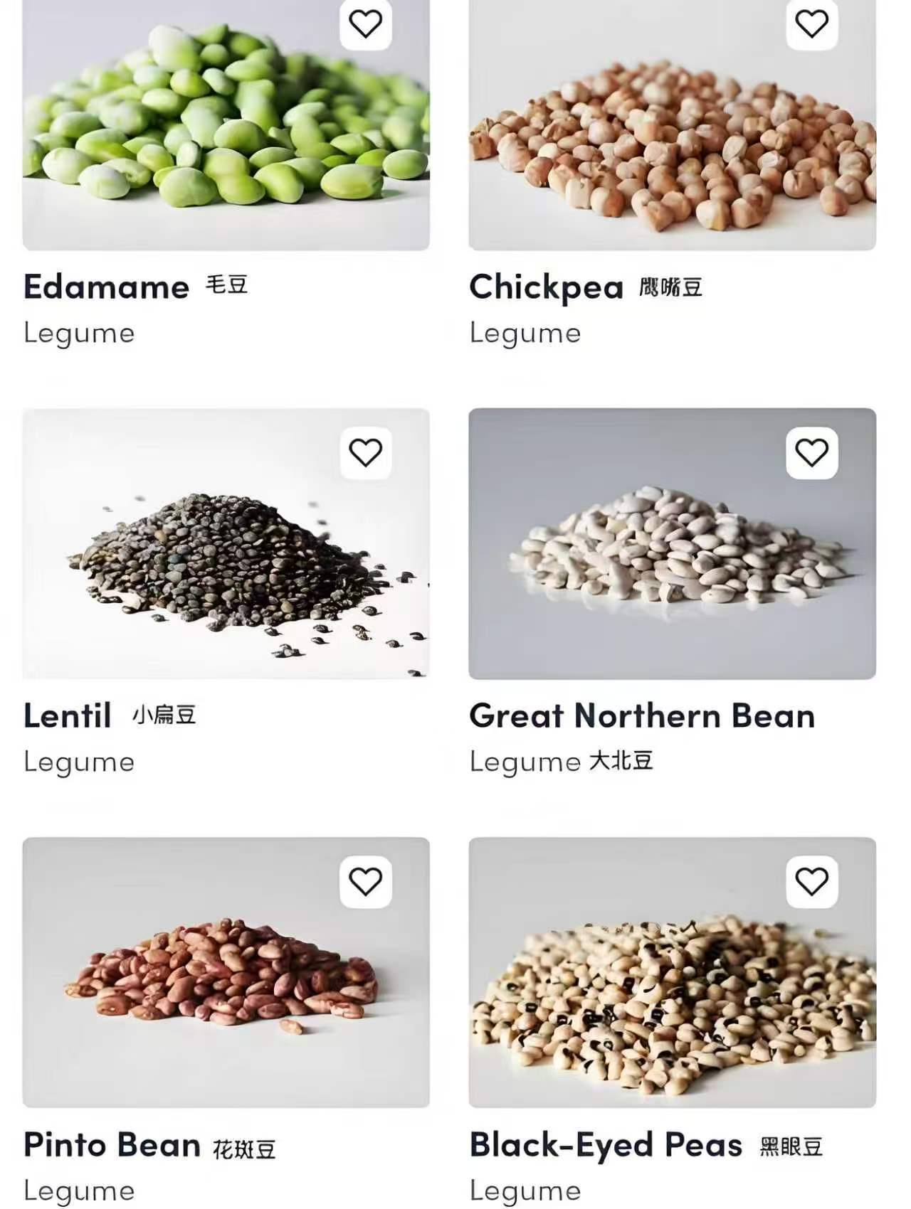 Food And Grain Testing1