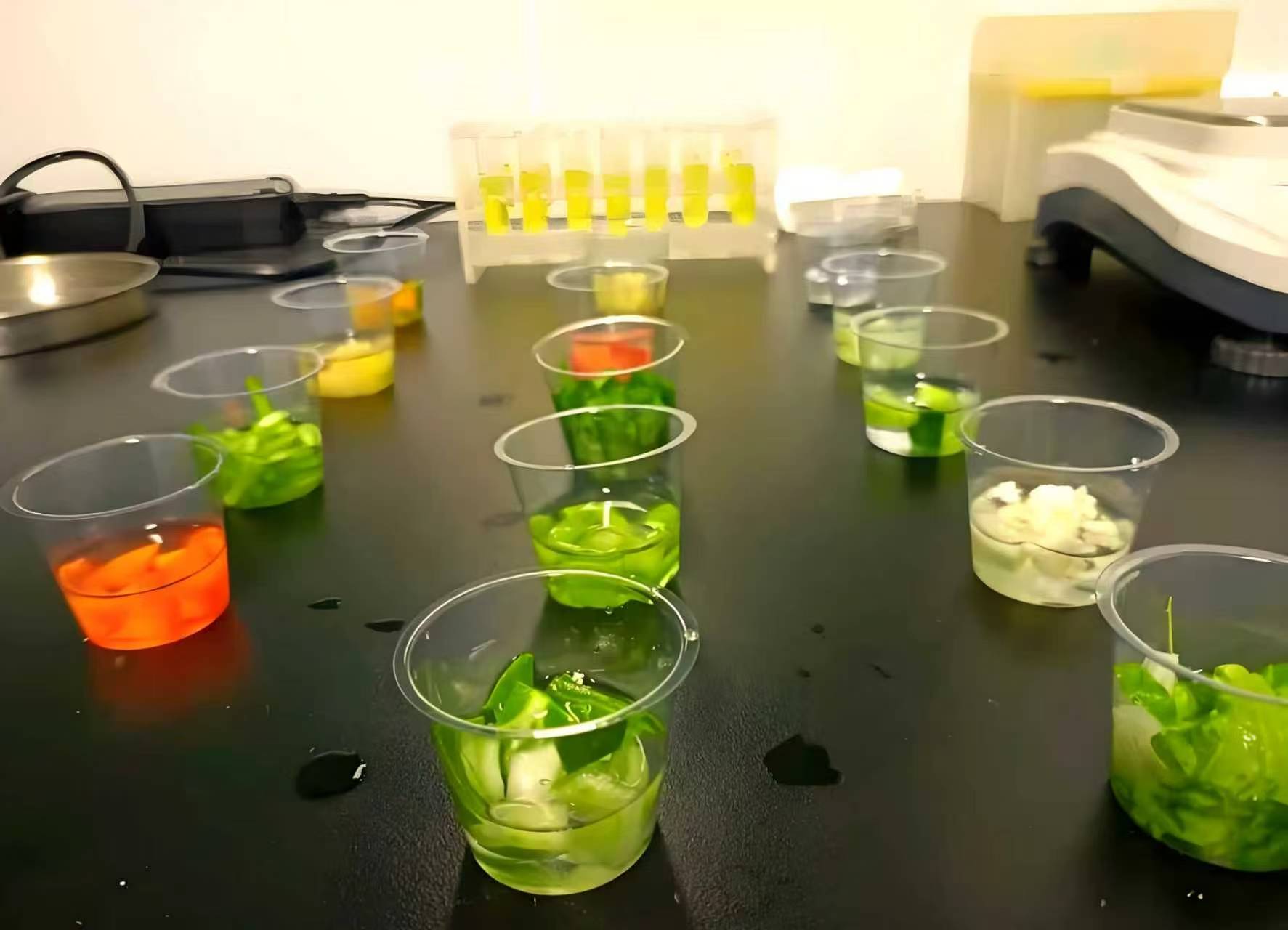 Food and Agricultural Product Testing1