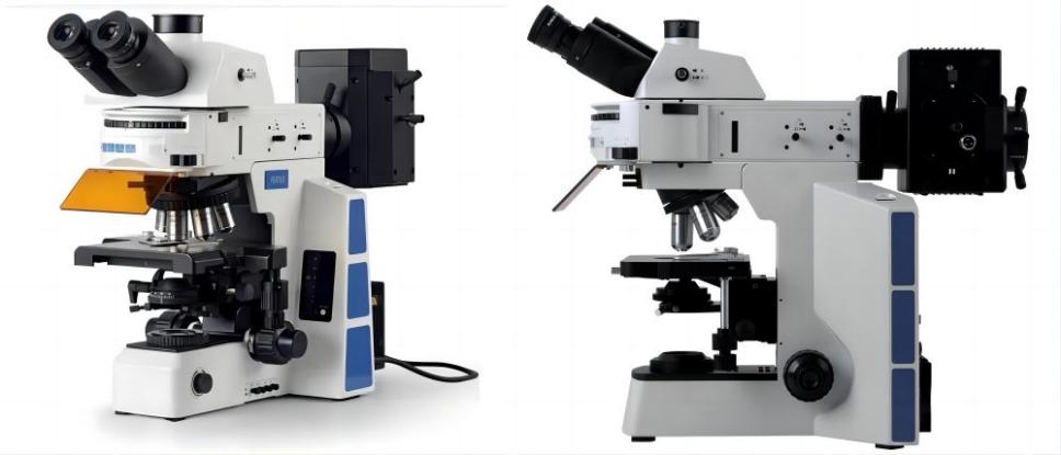 trinocular fluorescent microscope