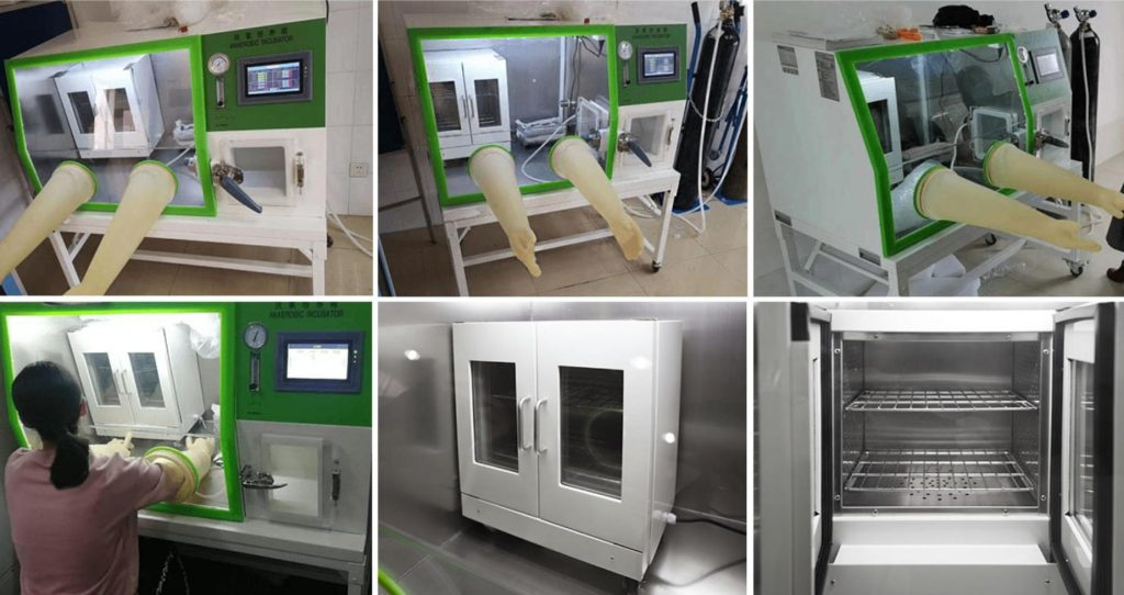 Anaerobic Incubator LAI-3T Display