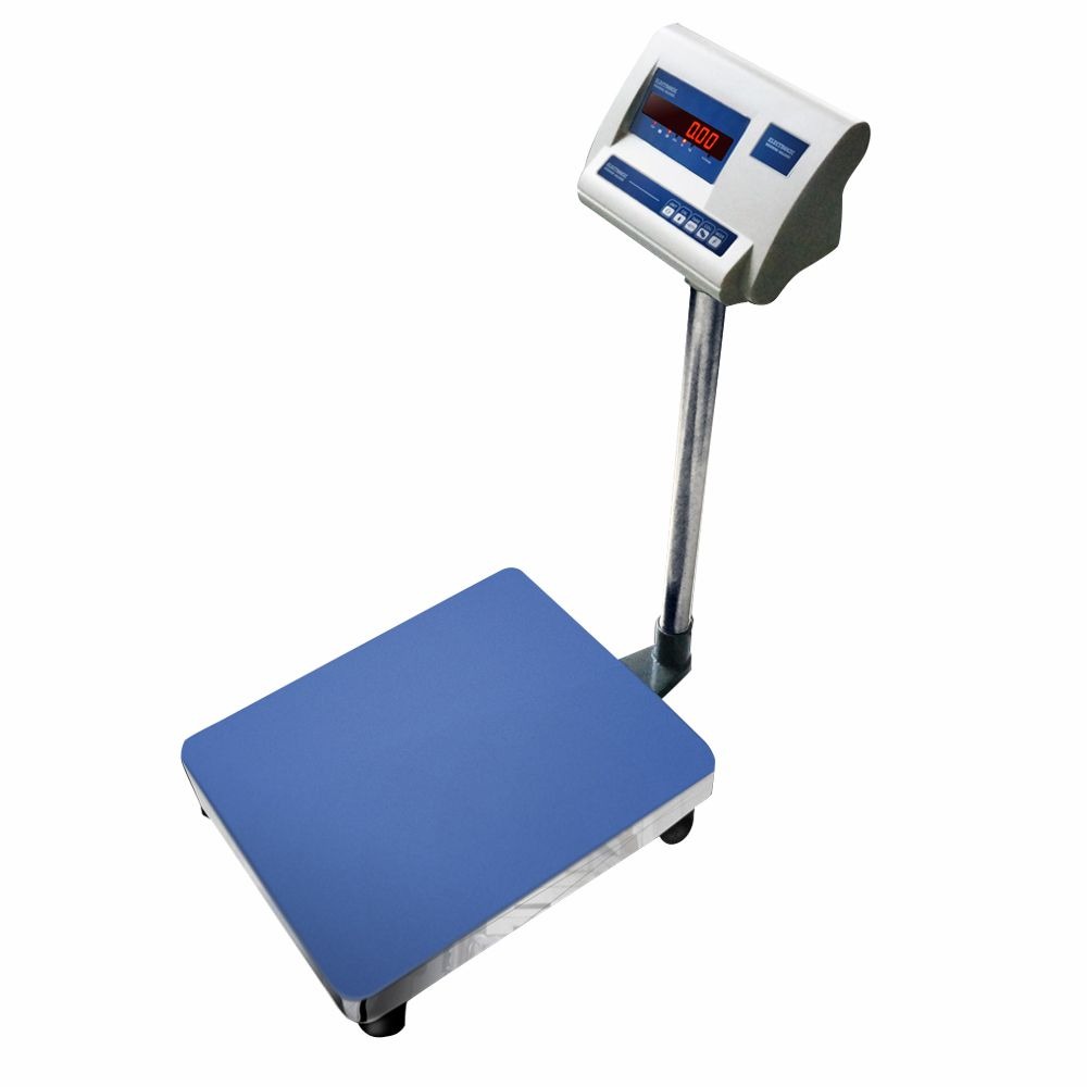 DW-E F 1g 10g Floor Weighing Scale-1