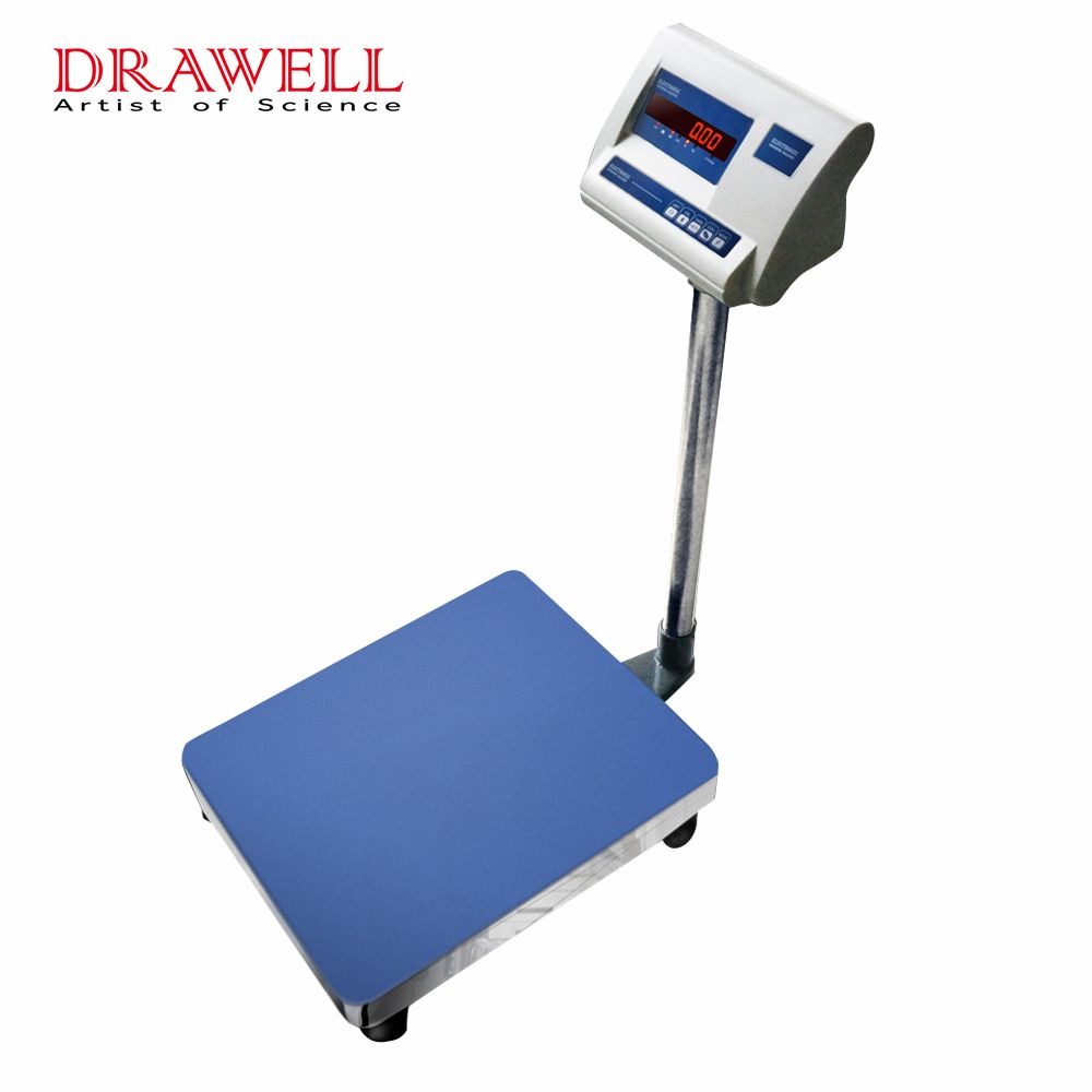 DW-E F 1g 10g Floor Weighing Scale