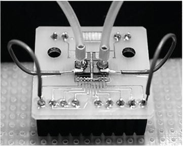 detector of miniaturized gas chromatography