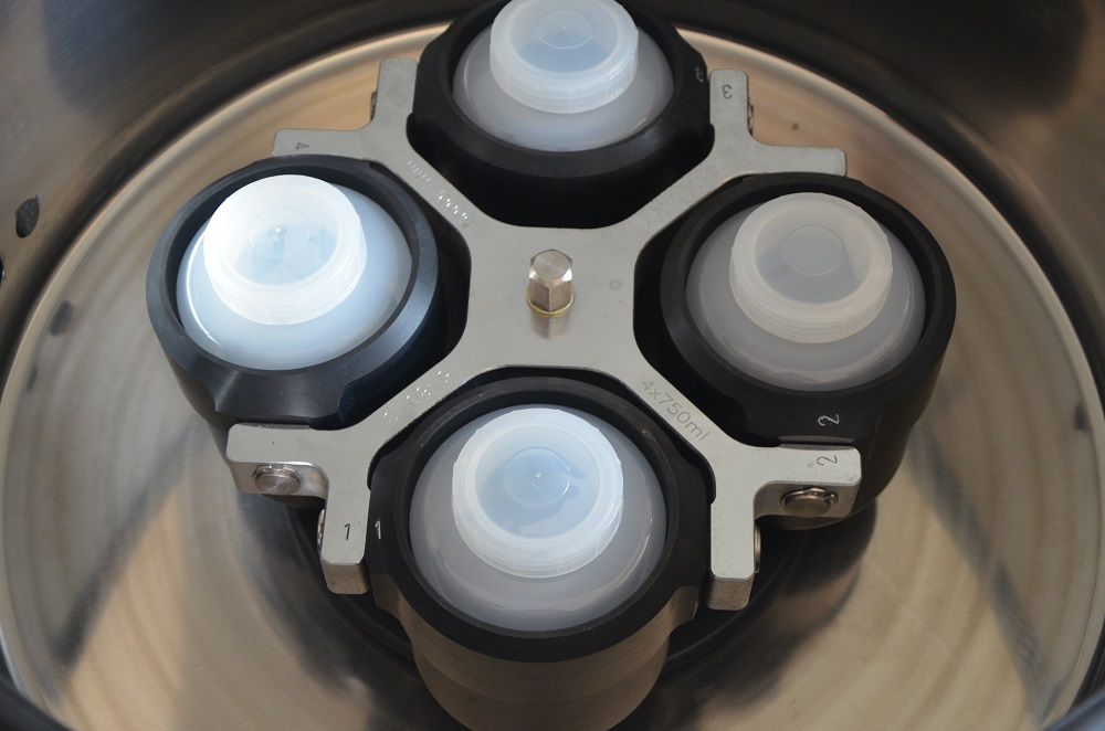 Swing Rotor