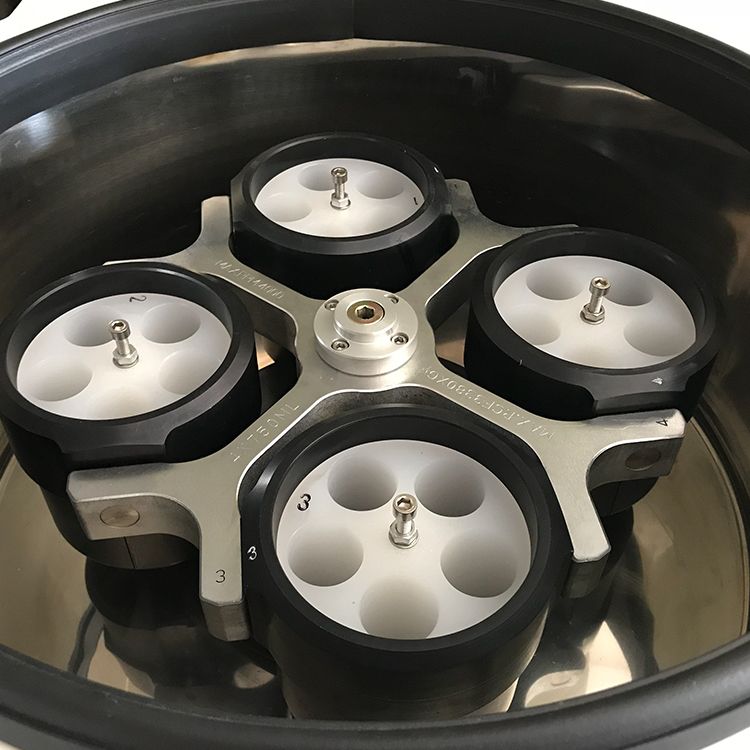 Rotor