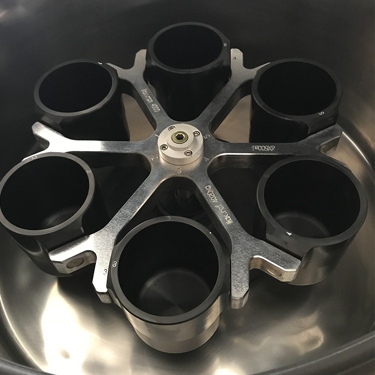 Rotor
