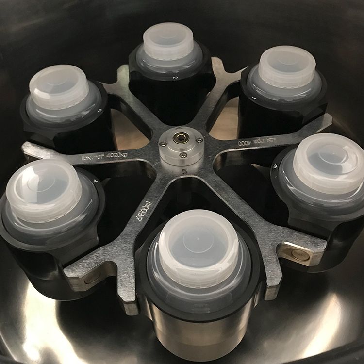 Rotor