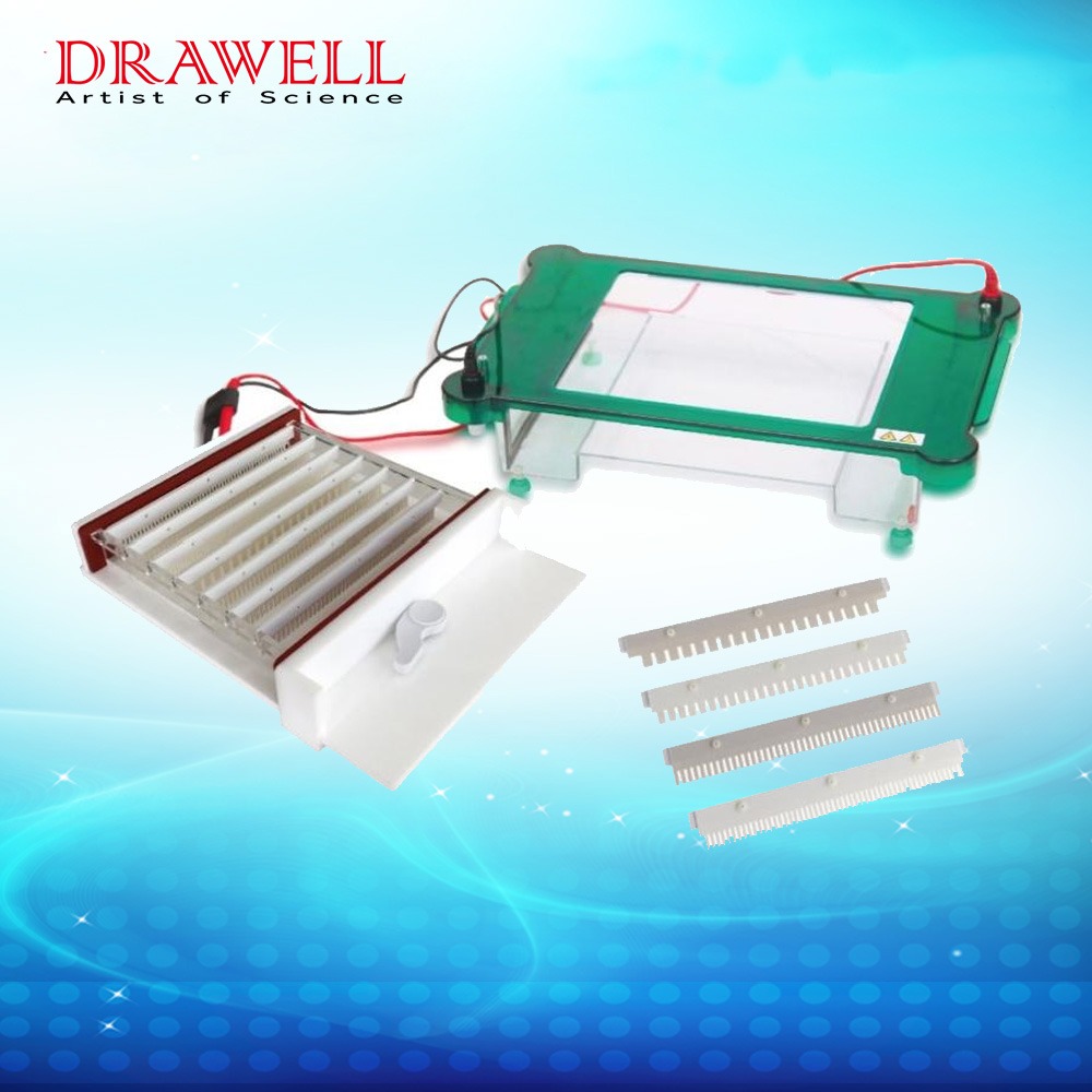 DW-SPHT Horizontal Electrophoresis Tank