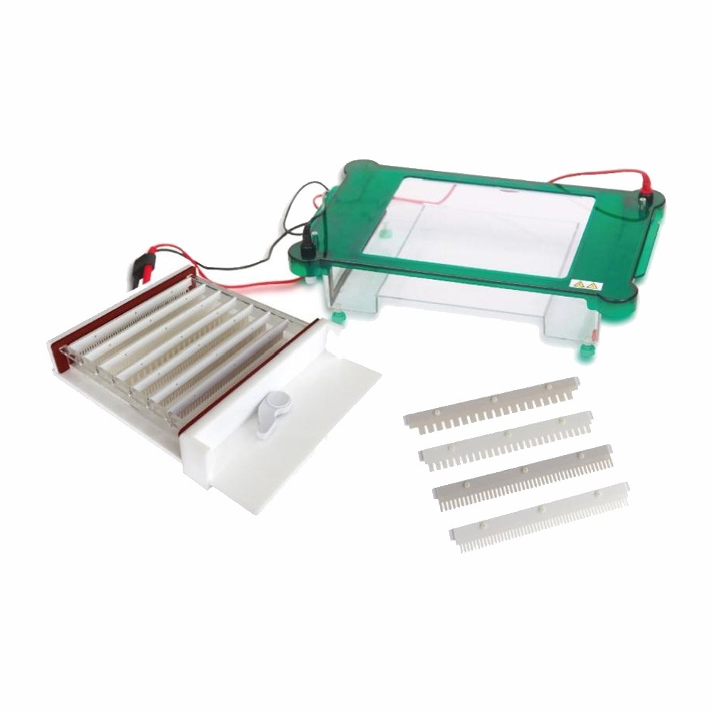 DW-SPHT Horizontal Electrophoresis Tank