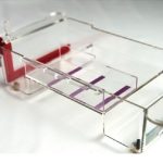 Electrophoresis System