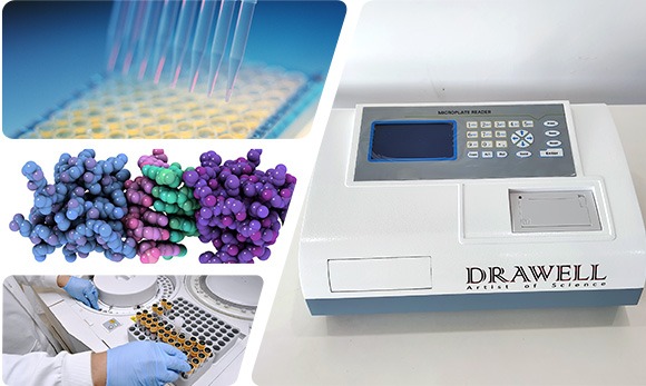 Elisa Microplate Reader use
