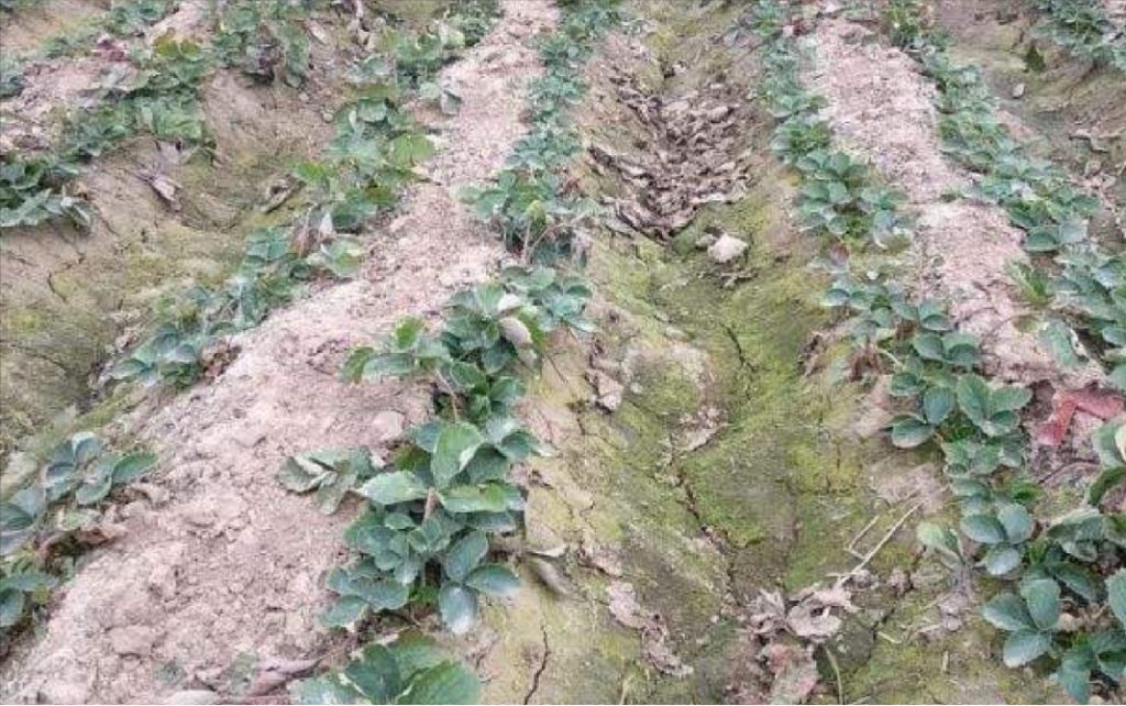 Measures to prevent soil salinization