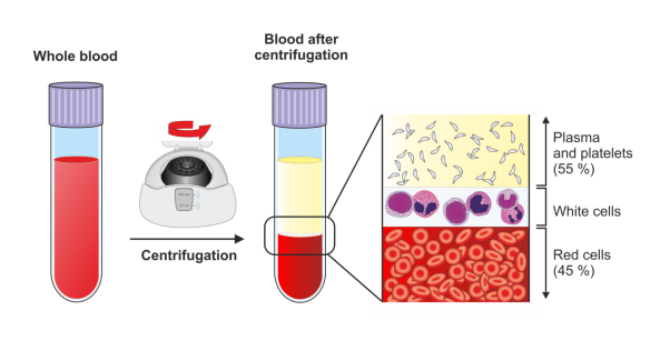 Centrifuge Separation Step 2