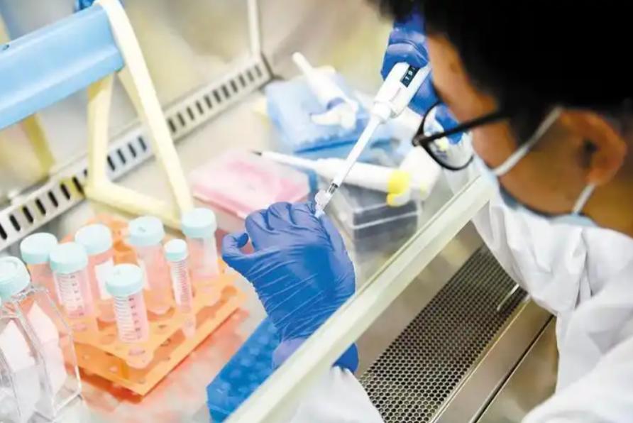 pharmaceutical R&D