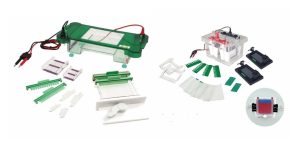 Vertical vs. Horizontal Electrophoresis Systems