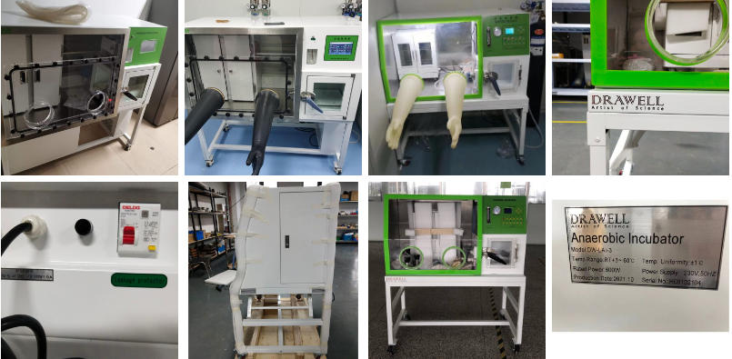 Drawell Anaerobic Incubator