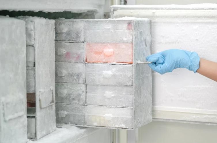 Low-temperature preservation of biological samples