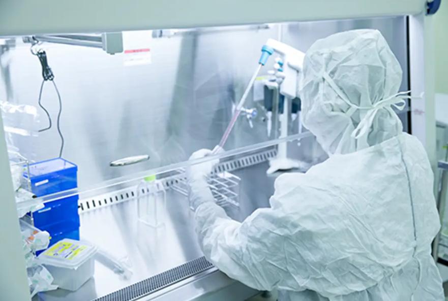 Bacteria Incubator
