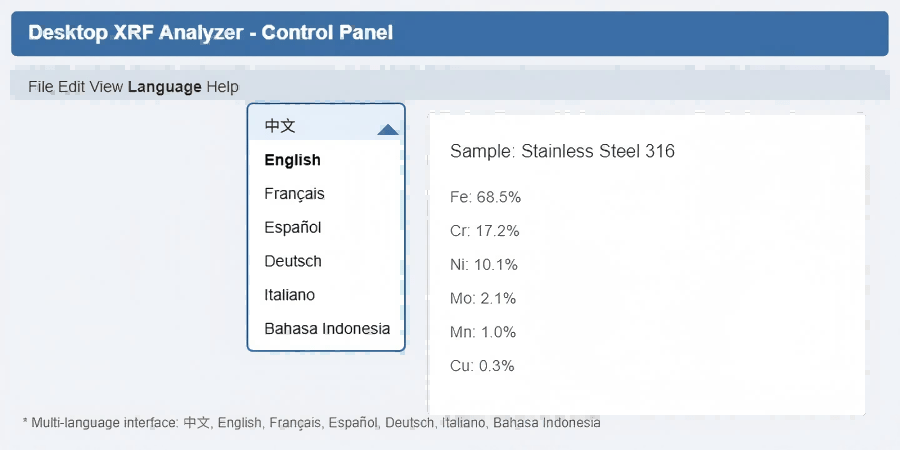 Multi Language Interface1