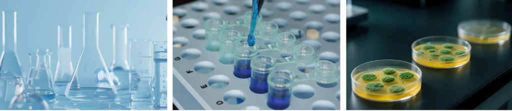 Laboratory Glassware