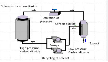 Supercritical Fluid