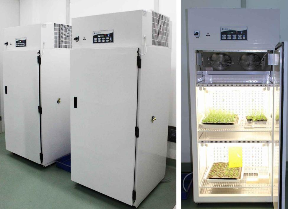 illumination incubator