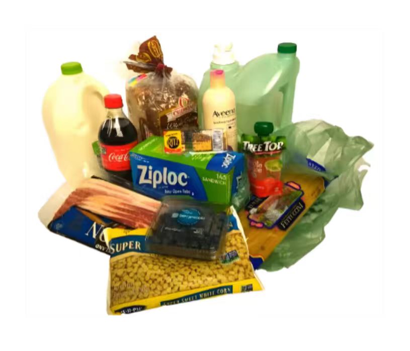Appilication of DW-GC 1120 Food Safety