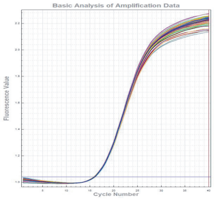 Accurate 96 Real Time PCR System 2