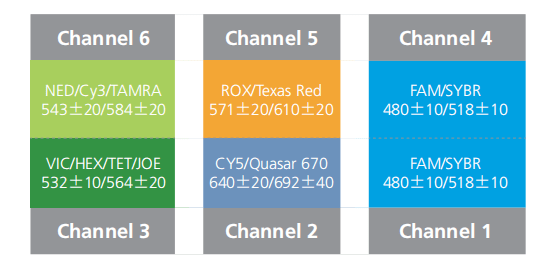 Accurate 96 Real Time PCR System