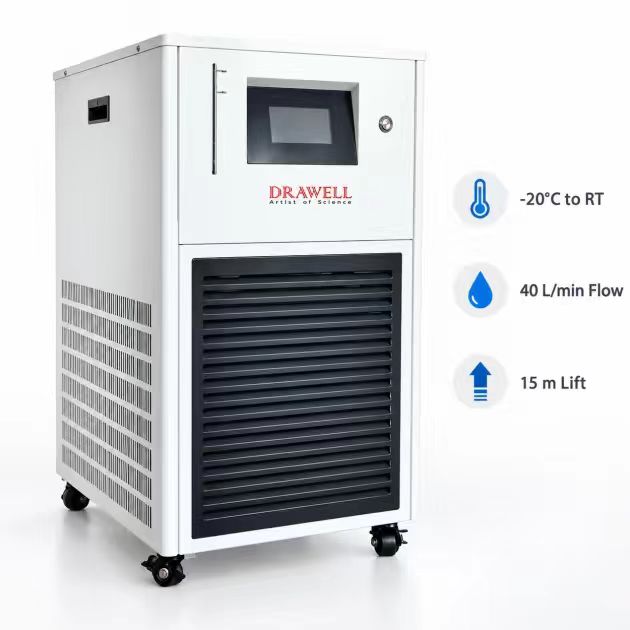 DW YQ 20 20SJ 6